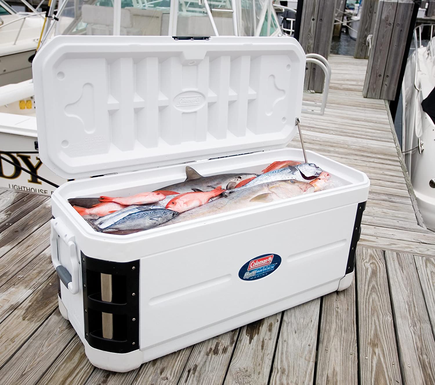 Coleman hot sale white cooler