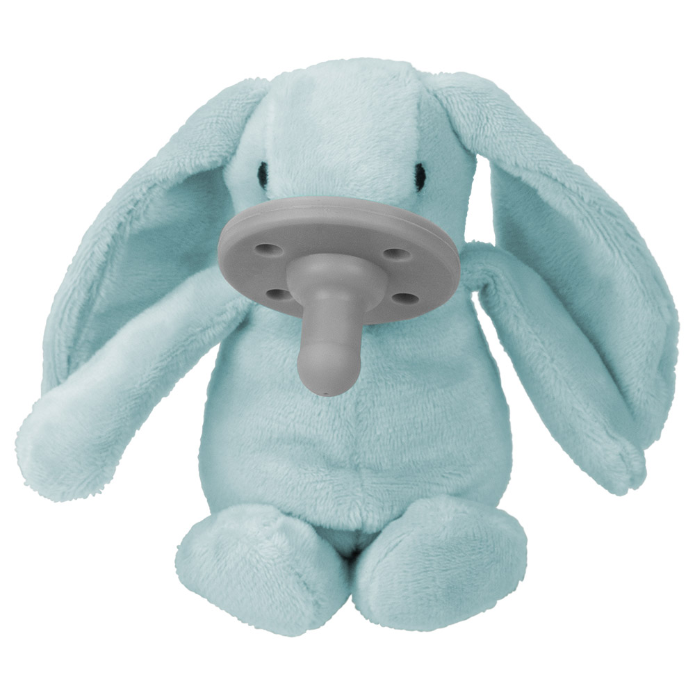 Blue bunny hot sale dog toy