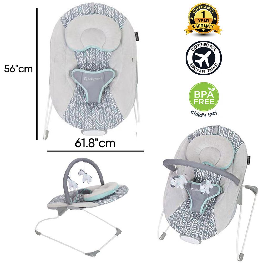 Order Babytrend - Trend EZ Bouncer - Ziggy Now! | Jomla.ae