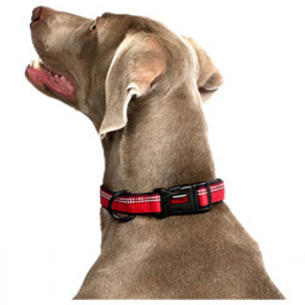 Dog Training Collars Company of Animals Halti Muzzle (35-48 cm) main image 1
