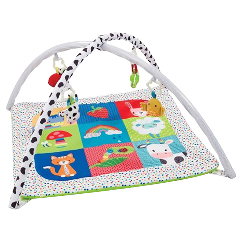 Order Early Learning Centre Blossom Farm Activity Play gym Now Jomla.ae
