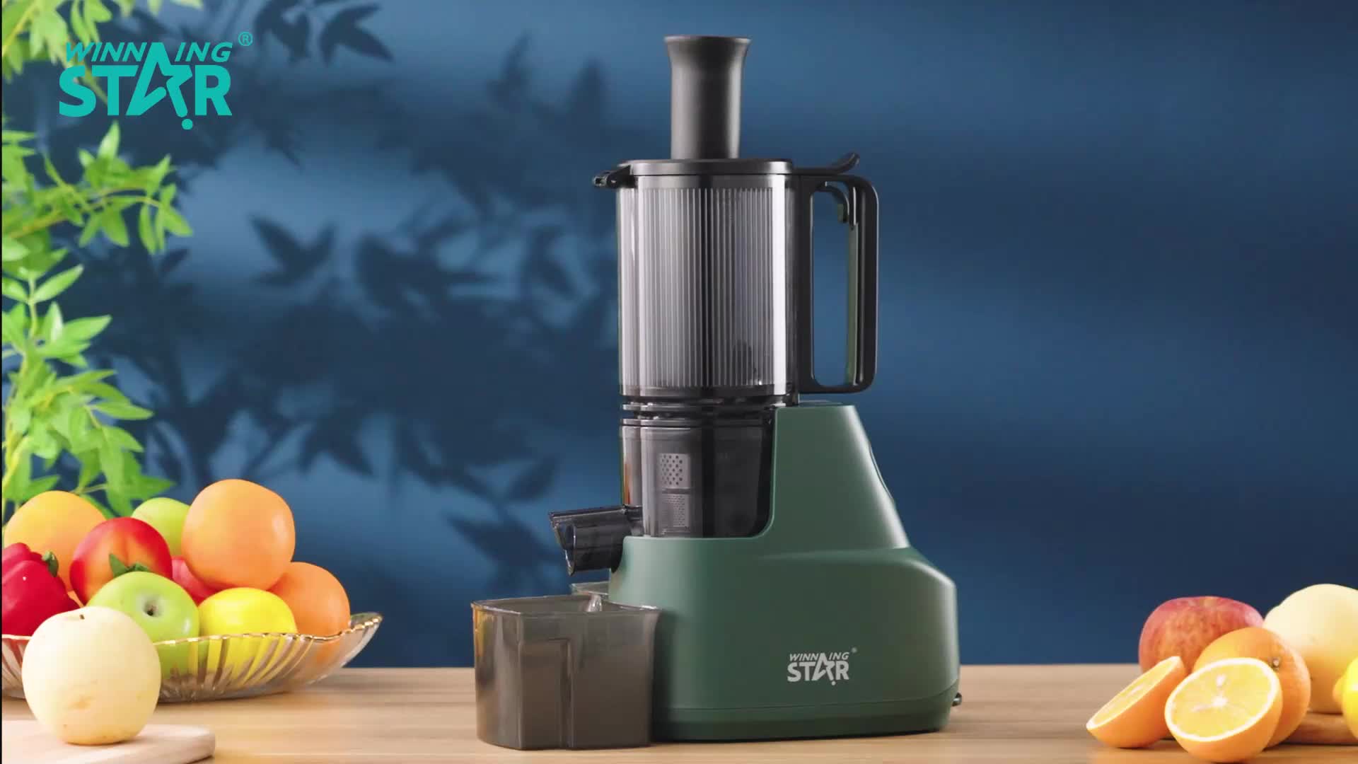 Winning Star Juice Extractor 300ml 200W Pure Copper Motor Durable Stainless Steel - View 6